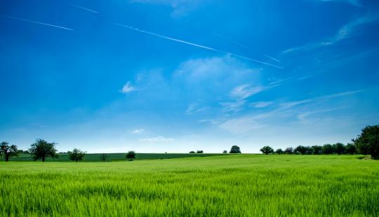 Landscape with big sky