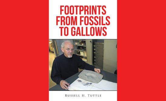Footprints from Fossils to Gallow book cover